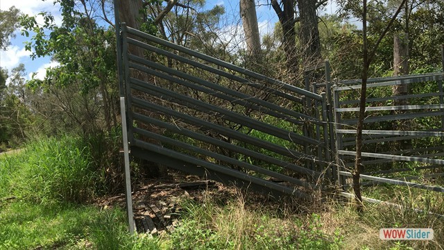 yard4
